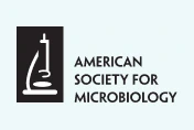 ASM